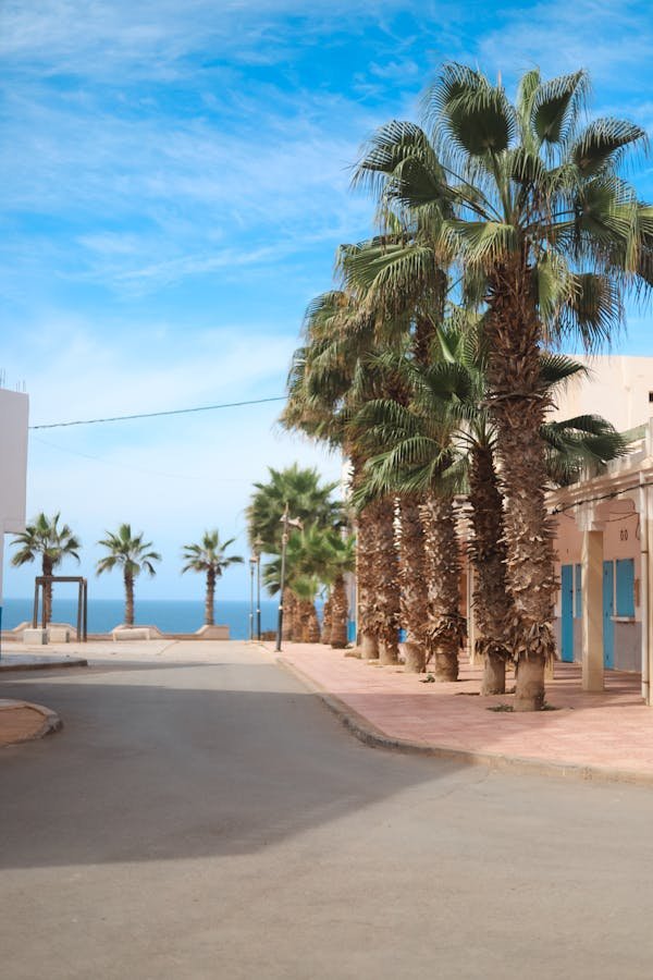 Visiter agadir : un paradis entre plage et aventure